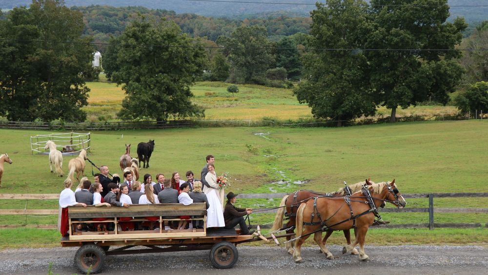 Horse drawn wagon with the whole wedding party aboard! Horses for hire, just ask!