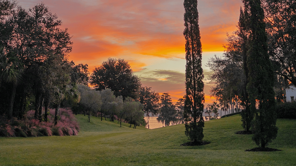 The Lake View: Lake Thonotosassa, the largest natural lake in the county - sets the tone for this beautiful scene. Palm trees, Live Oaks and Olive Trees line this majestic area.